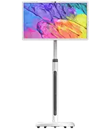 Portable Smart TV