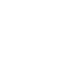 System integrators