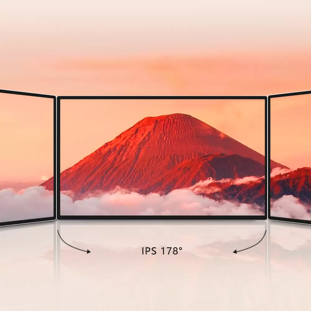IPS wide viewing angle screen