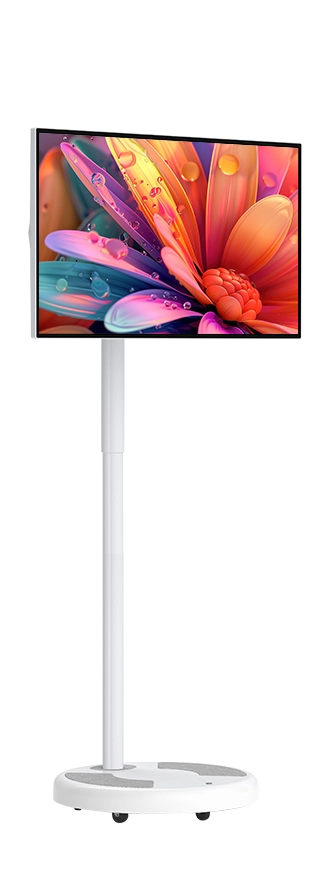 27'' Portable Smart TV