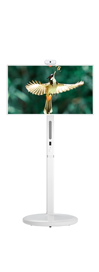 Factory Direct-sale 32'' StandbyME TV