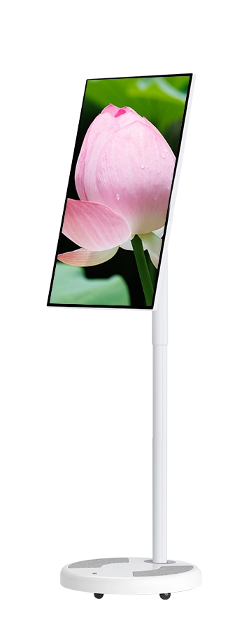 27'' Portable Smart TV