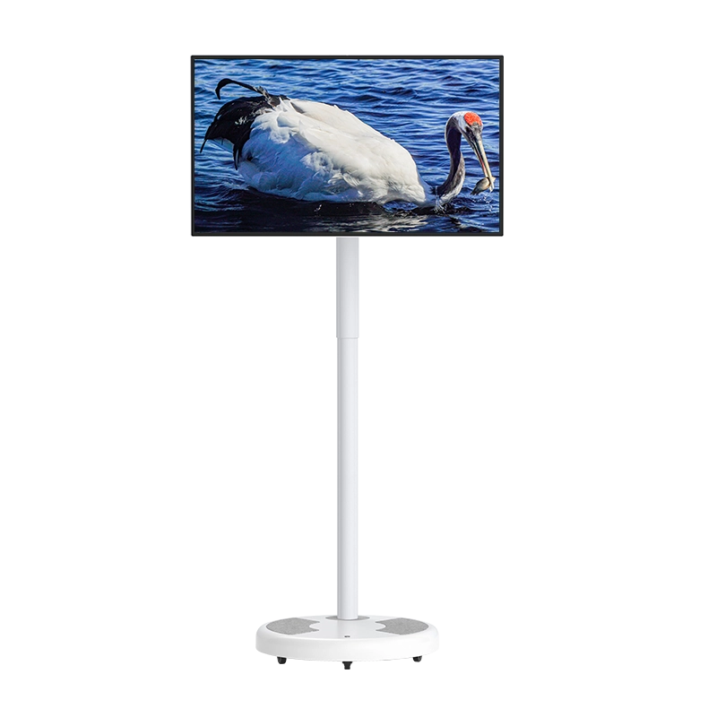 27'' Portable Smart TV