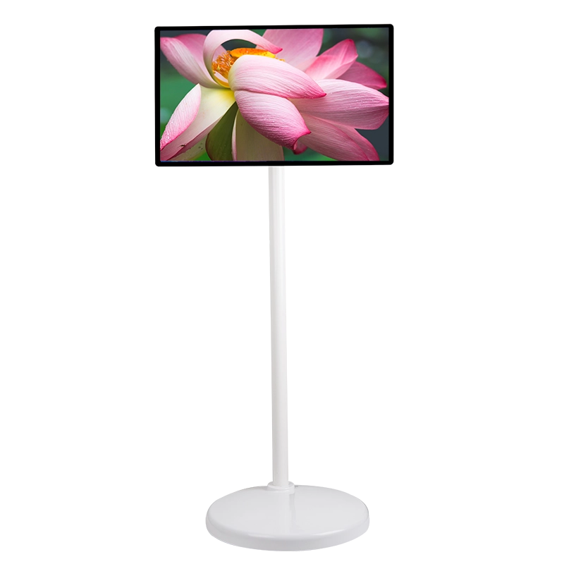 24'' Portable Smart Display