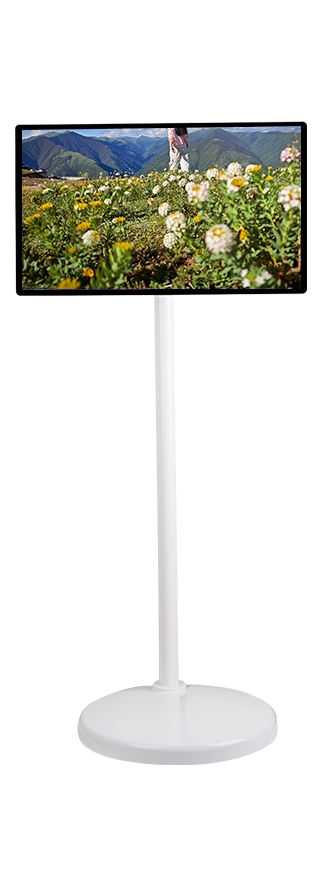 24'' Portable Smart Display