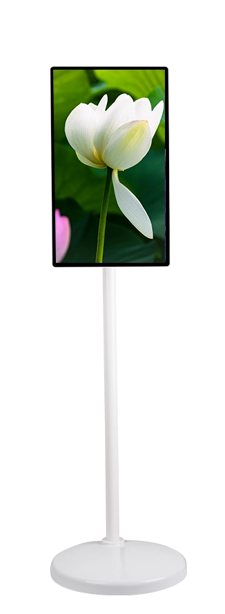 24'' Portable Smart Display