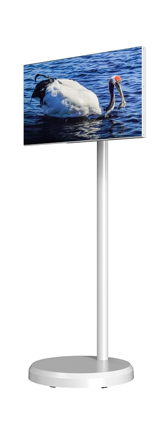 21.5'' Portable Smart Display