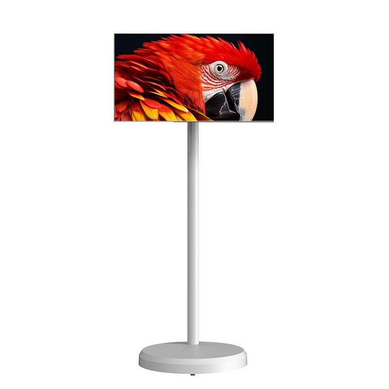 21.5'' Portable Smart Display