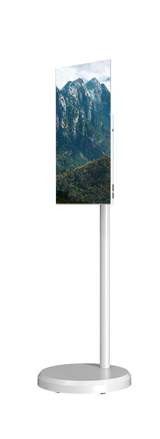 21.5'' Portable Smart Display